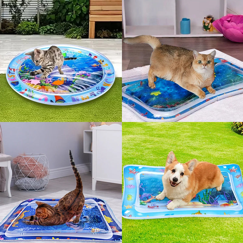 Tapis sensoriel d'eau pour animaux de compagnie