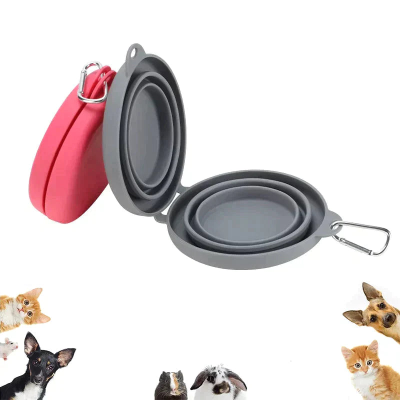 Ensemble de Gamelle Pliable de Voyage en Silicone pour Chien