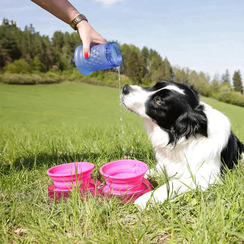 Ensemble de Gamelle Pliable de Voyage en Silicone pour Chien