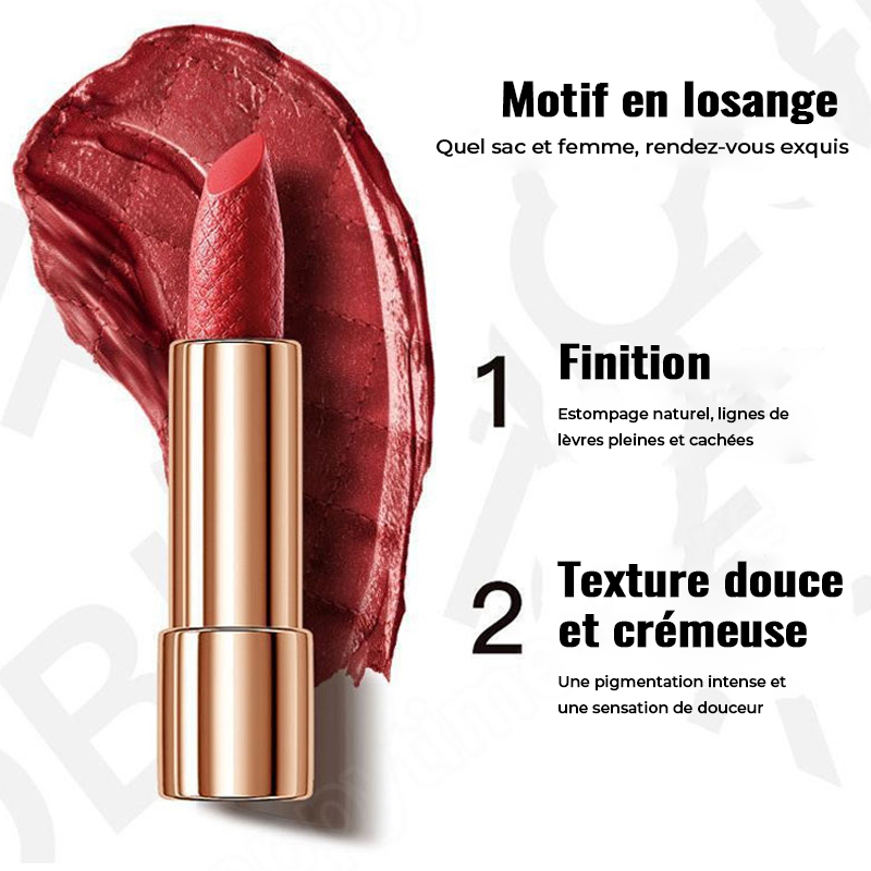 Rouges à Lèvres en Velours avec Sac en Chaîne