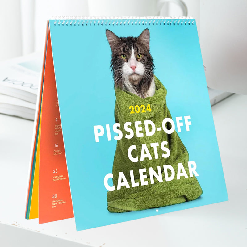 😸2024 Calendrier des chats énervés