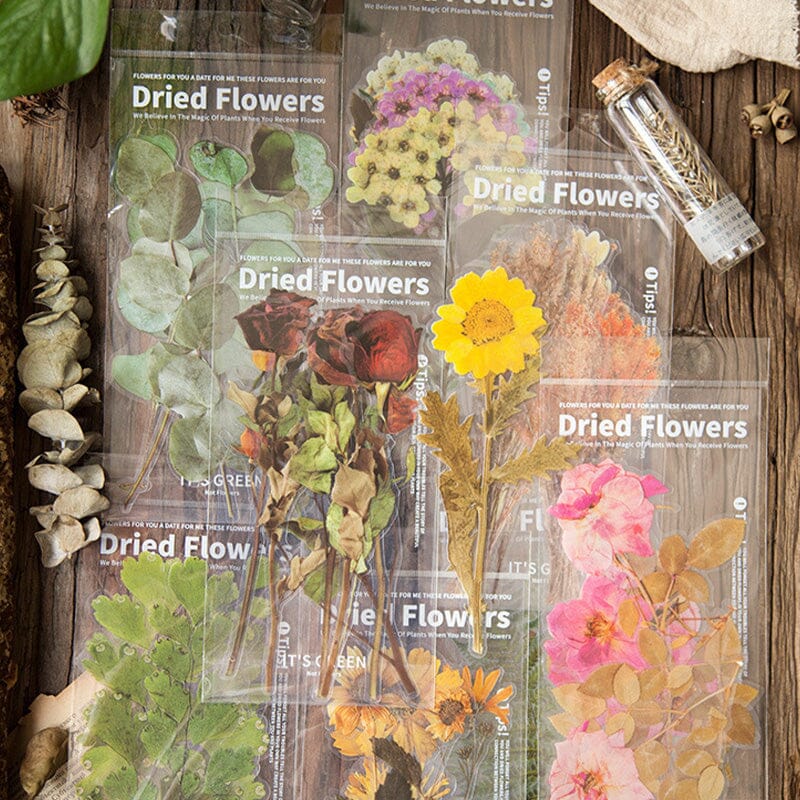 Ensemble d'autocollants de fleurs séchées